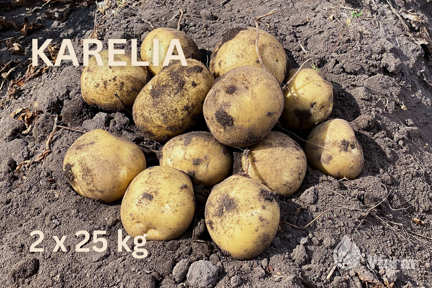 Rinkinys 6 arams MODERNIAUSIOS veislės ir trąšos