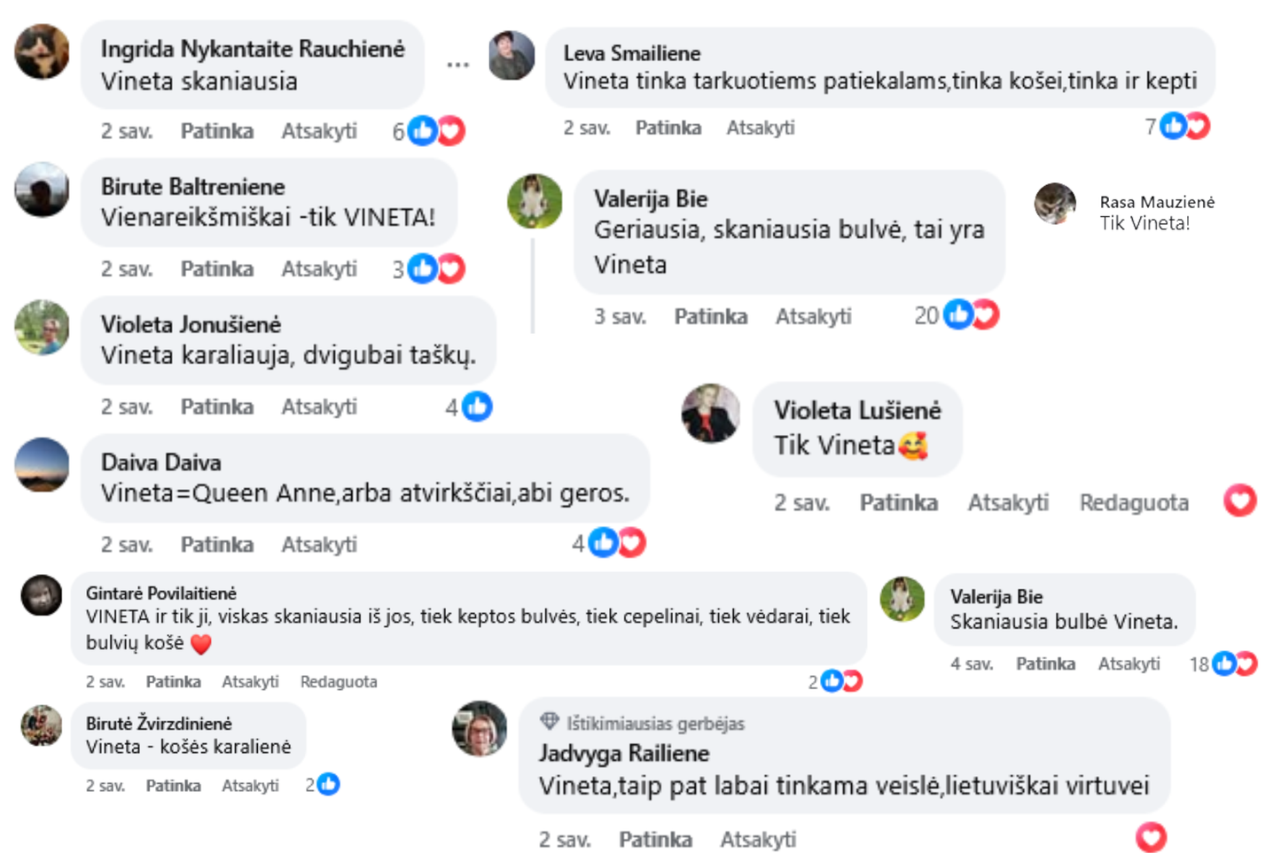 VINETA – lietuviškiems patiekalams