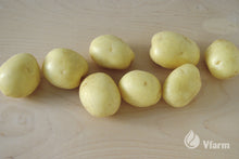 Įkelti vaizdą į galerijos rodinį, COLOMBA bulvių sėkla, nuplautos
