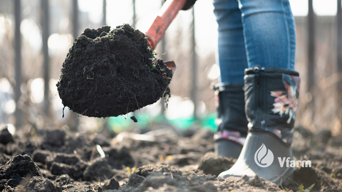 Žemės paruošimas prieš sodinant bulves: nuo dirvos įvertinimo iki sodinimo dienos