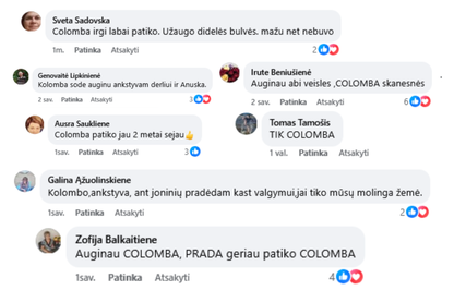 COLOMBA – vasaros gaivai