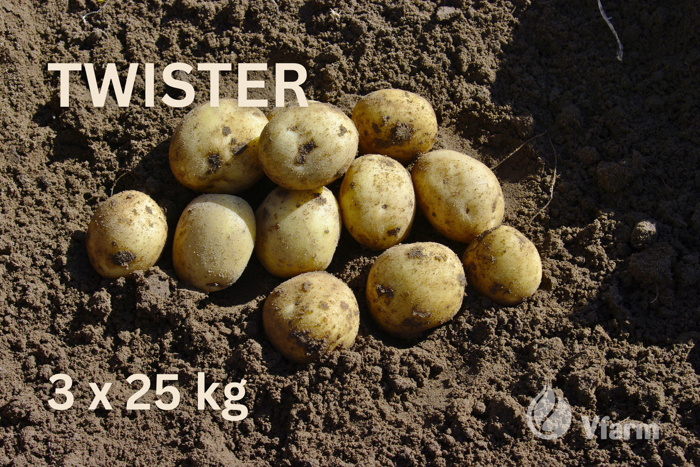 Rinkinys 6 arams EKOLOGINIAM auginimui (bulvių veislės ir trąšos)