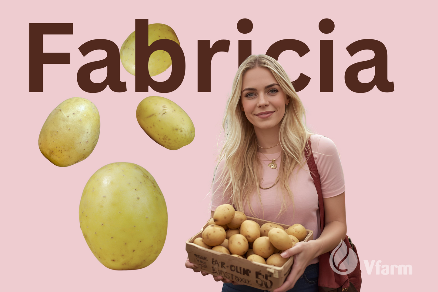 FABRICIA - ideali lietuviškam stalui