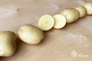 ACOUSTIC bulvių sėkla, nuplautos