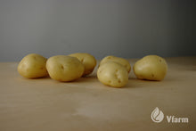Įkelti vaizdą į galerijos rodinį, ADORA bulvių sėkla, nuplautos
