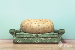 CAMPINA bulvių sėkla, ant sofos, reklaminė nuotrauka