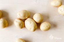 Įkelti vaizdą į galerijos rodinį, KARELIA bulvių sėkla, nuplautos ant fanieros
