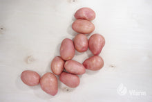 Įkelti vaizdą į galerijos rodinį, LAURA bulvių sėkla, nuplautos ant fanieros

