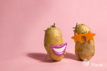 Įkelti vaizdą į galerijos rodinį, NANDINA bulvių sėkla, su akiniais ir šypsena, reklaminė nuotrauka
