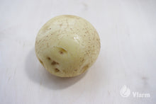 Įkelti vaizdą į galerijos rodinį, VINETA bulvių sėkla, iš arti nuplauta ant fanieros

